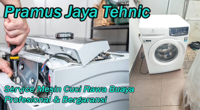 Service Mesin Cuci Rawa Buaya