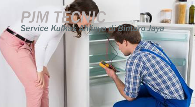 Service Kulkas Ahlinya di Bintaro Jaya